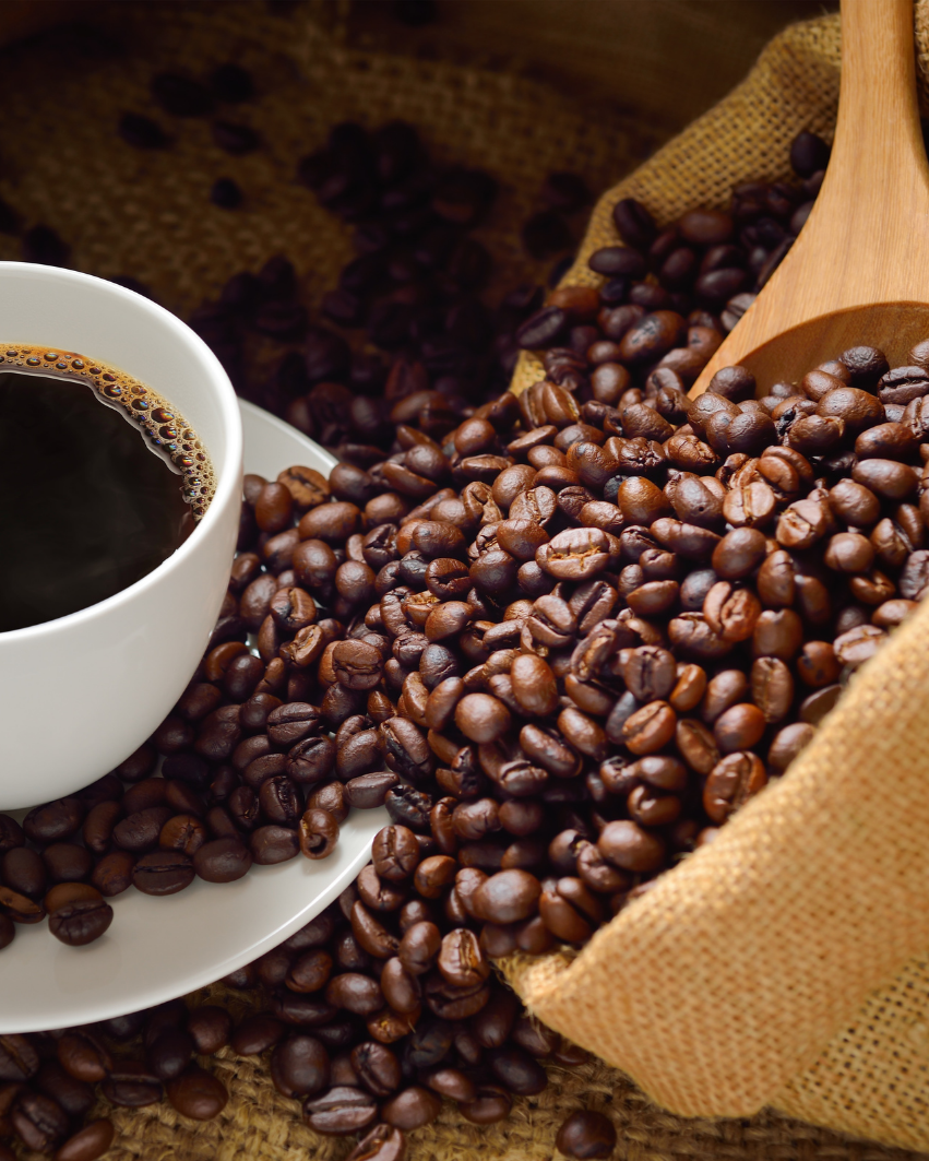 Story of EL Katha Coffee